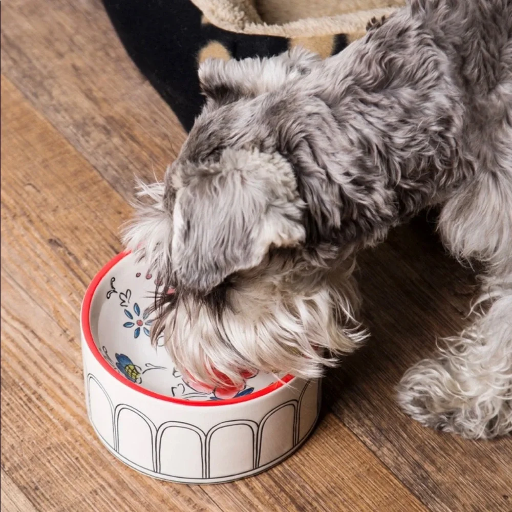 BRAND NEW FLOWER PATCH PET BOWL